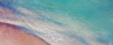 Positive Friday 2022 : Notre engagement pour la protection des océans